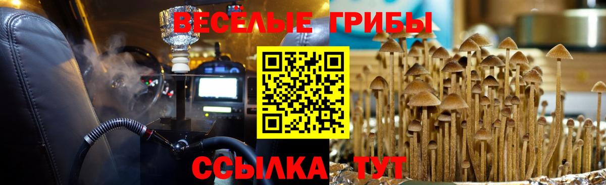 Галлюциногенные грибы прущие грибы Мелеуз